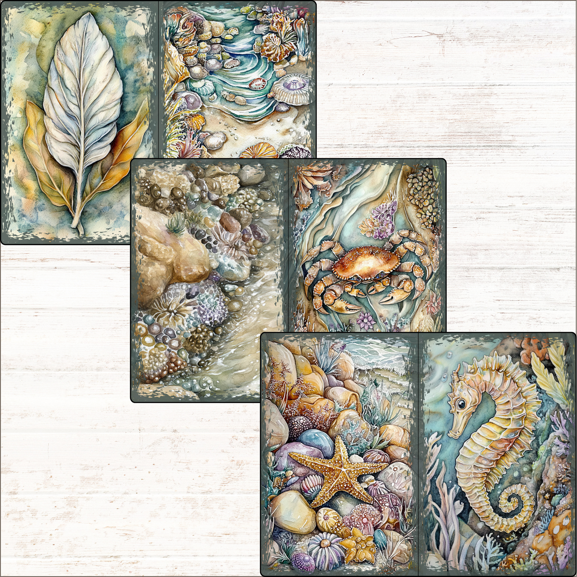 a set of four paintings of seashells and seahorses