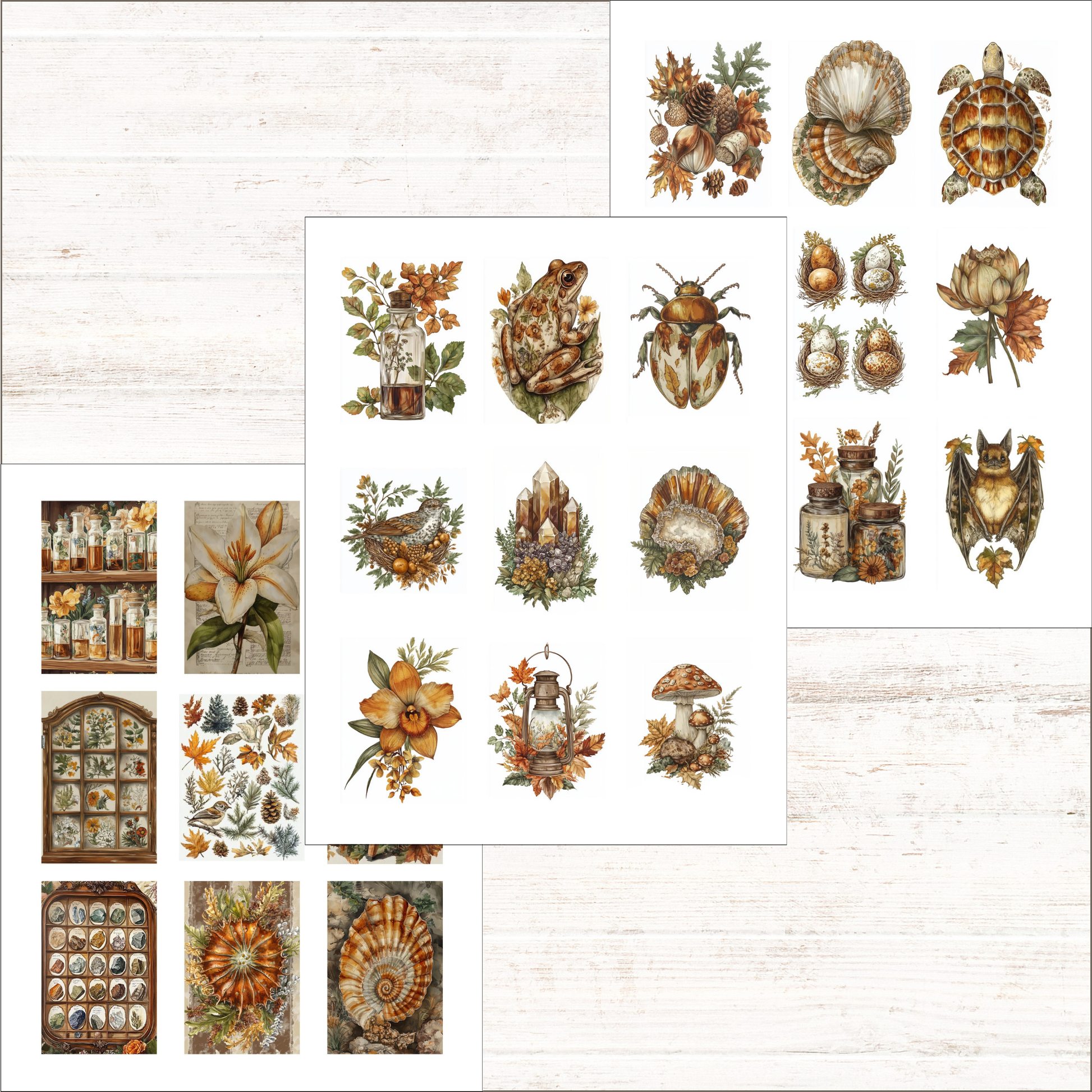 a variety of decorative stickers on a white background