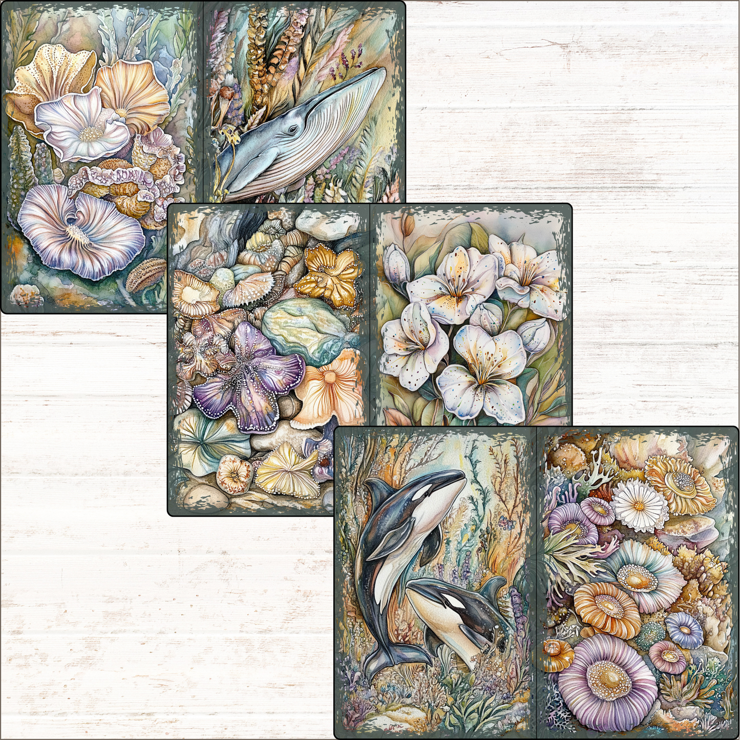 a set of four pictures of dolphins and flowers