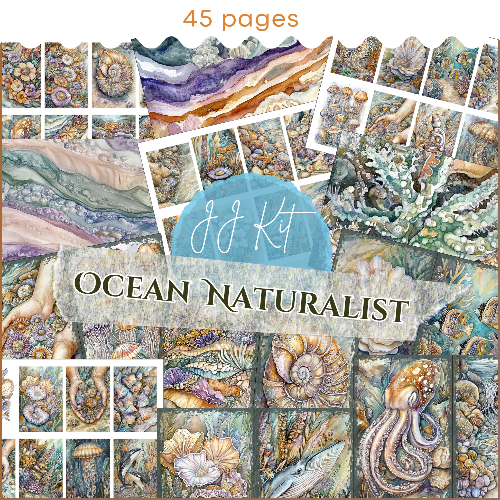 the ocean naturalist book cover with a collage of images