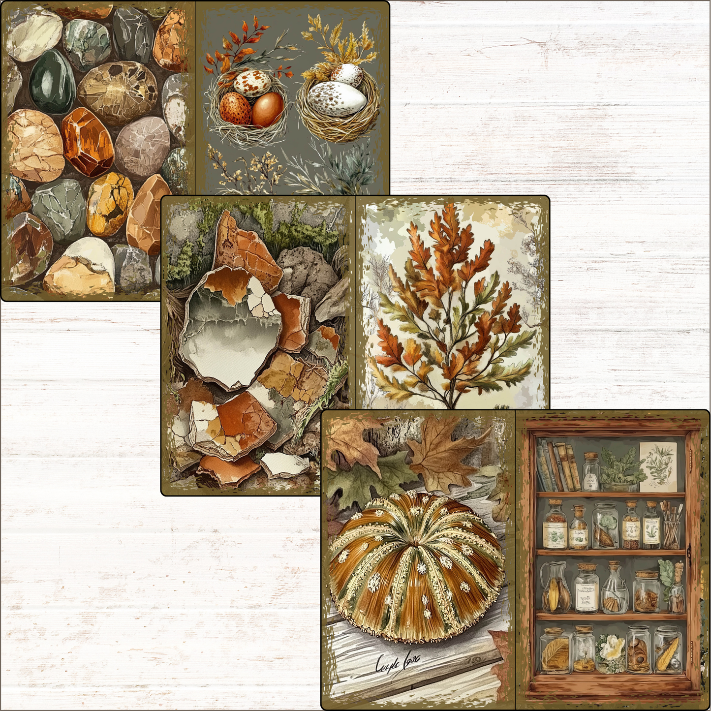 a collage of pictures of autumn items