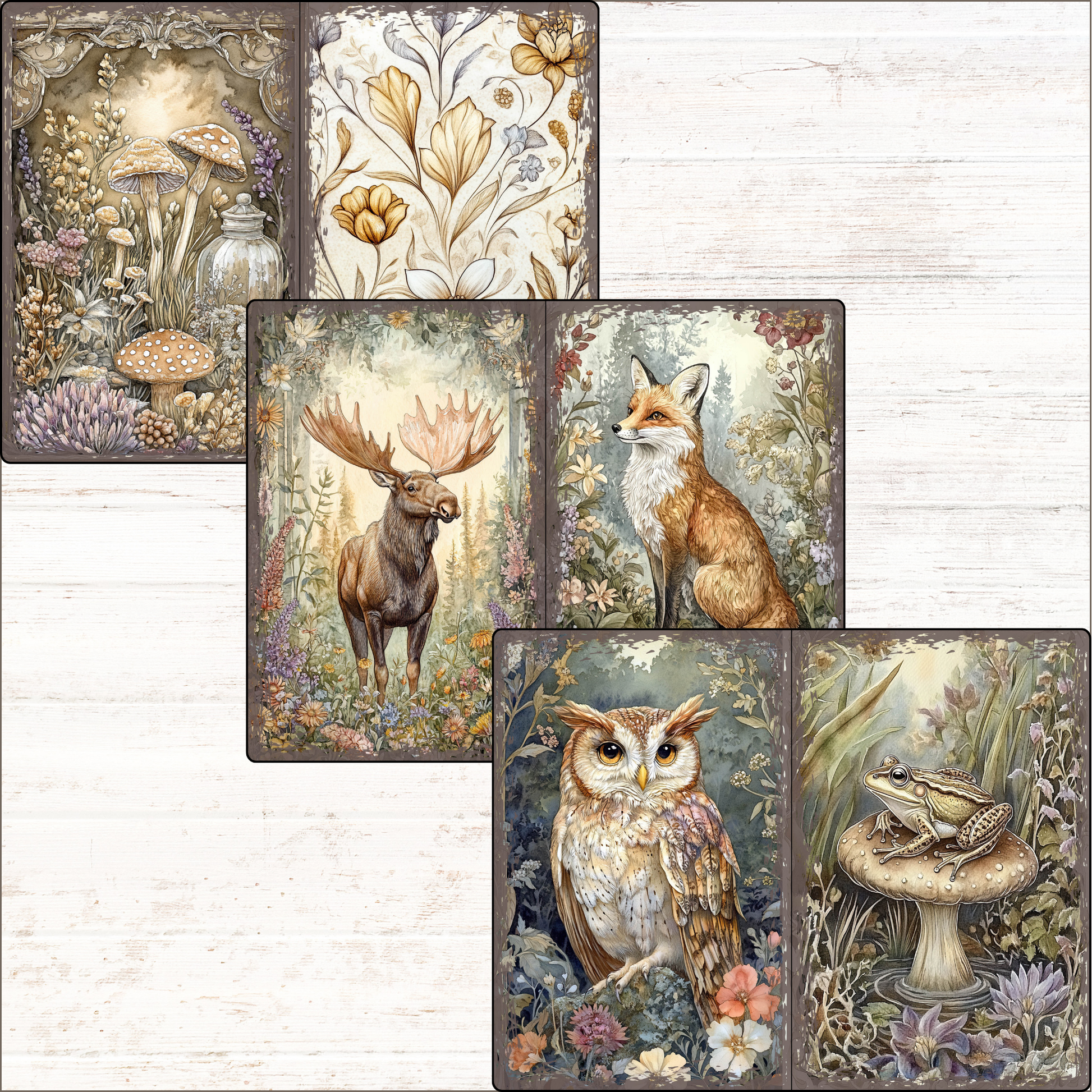 a set of four cards with a picture of a fox, an owl, and