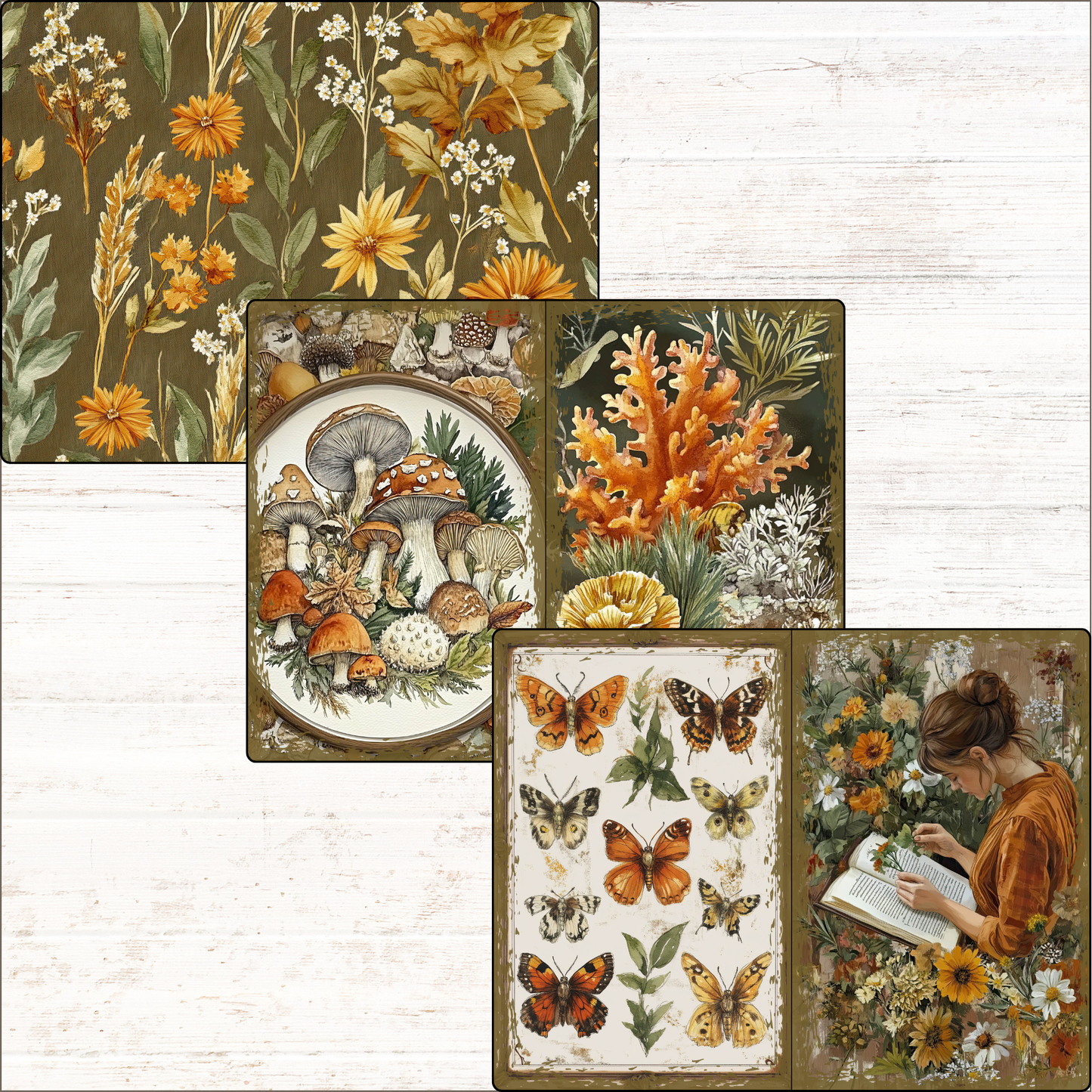 a collage of pictures of flowers and butterflies