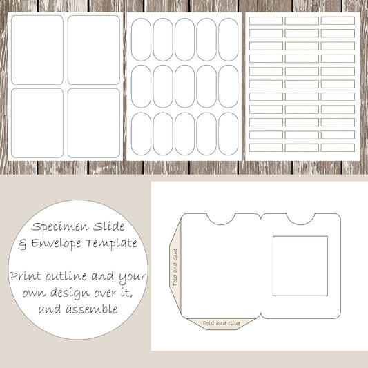 Specimen Slide Template