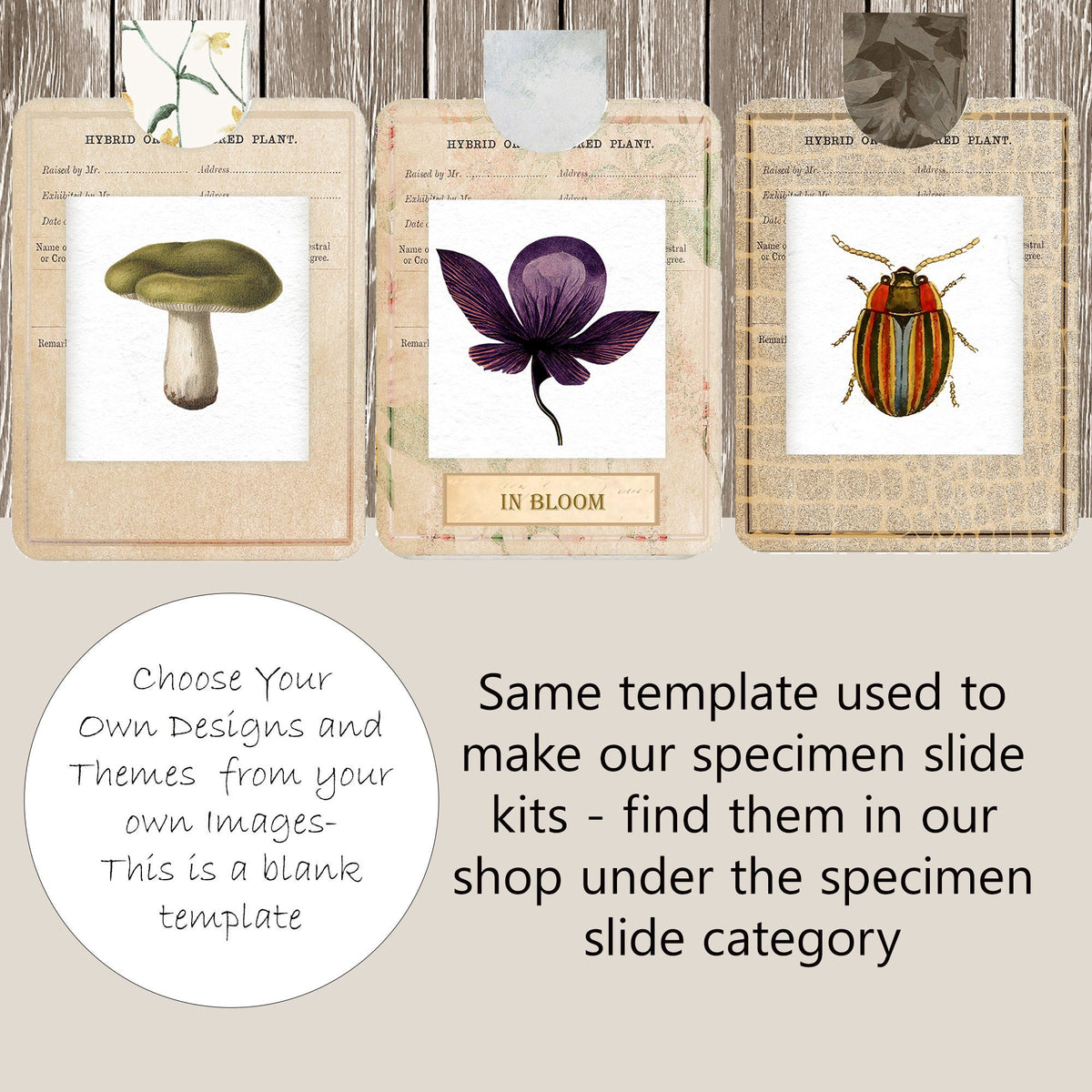 Specimen Slide Template – Country Mouse Prints