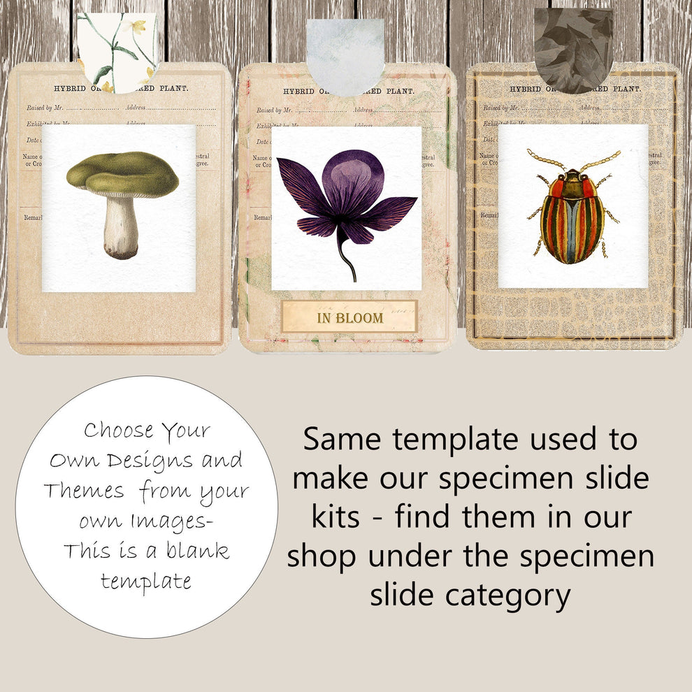 Specimen Slide Template – Country Mouse Prints