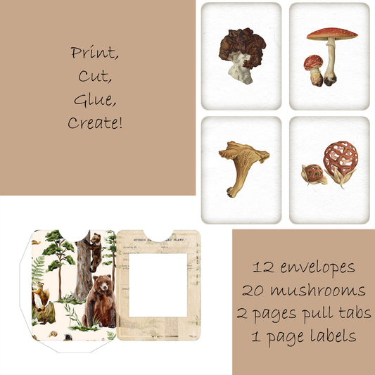 Specimen Slide Mushroom Junk Journal Ephemera