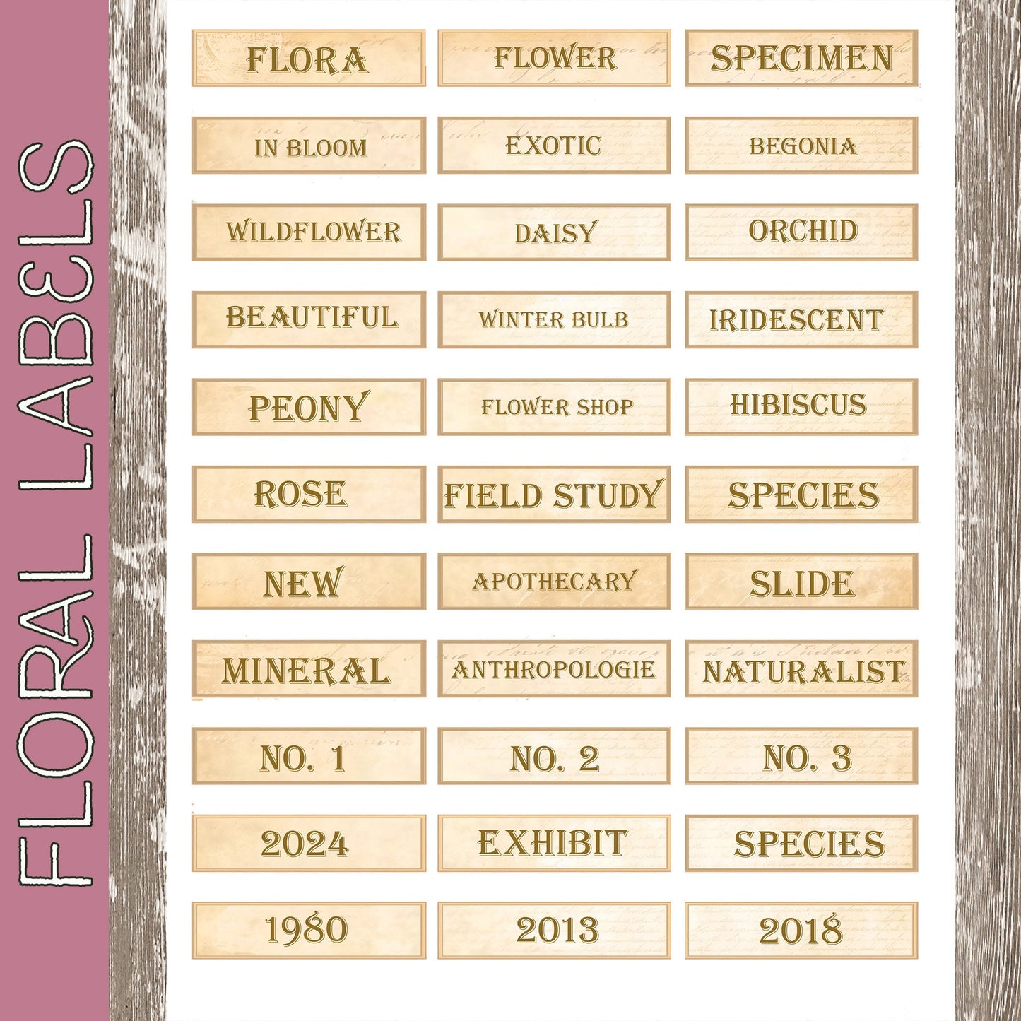 Flower Specimen Slides