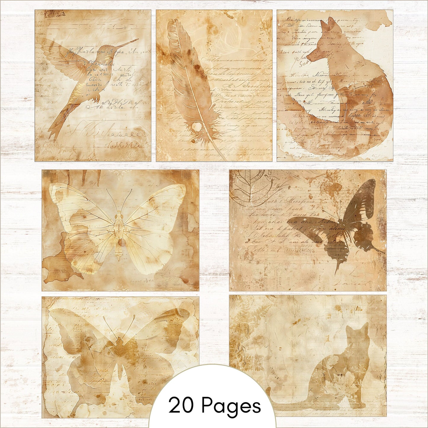 a collage of paper with a picture of a cat, a bird, a