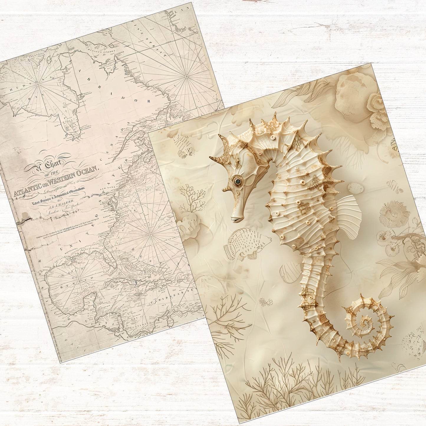 a picture of a sea horse on a piece of paper