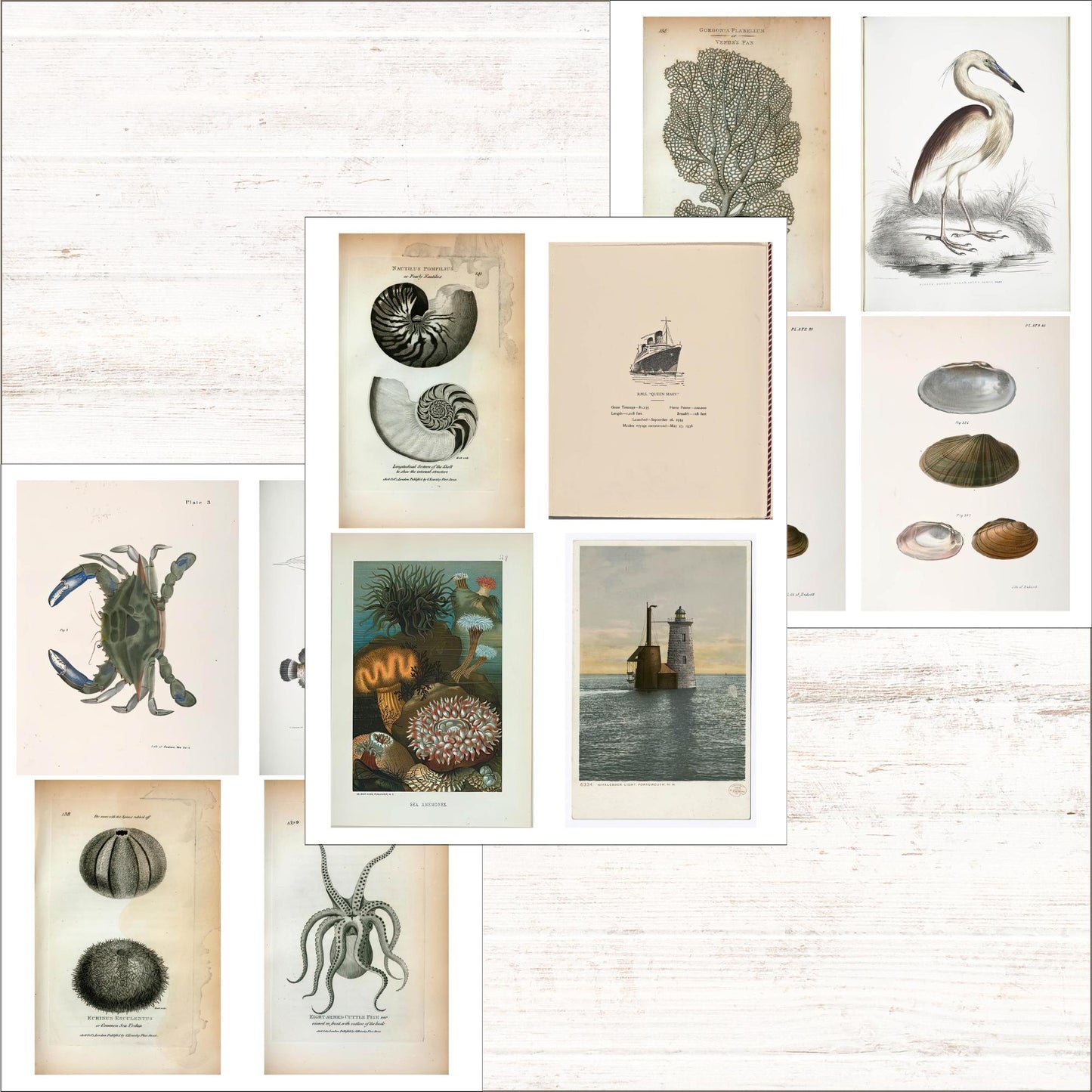 Ocean Vintage Coastal Beach Ephemera