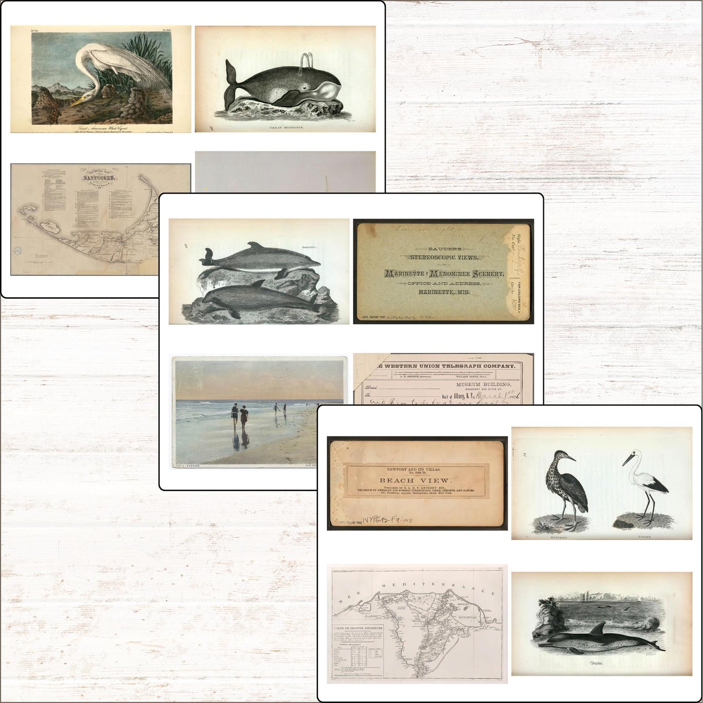 Ocean Vintage Coastal Beach Ephemera