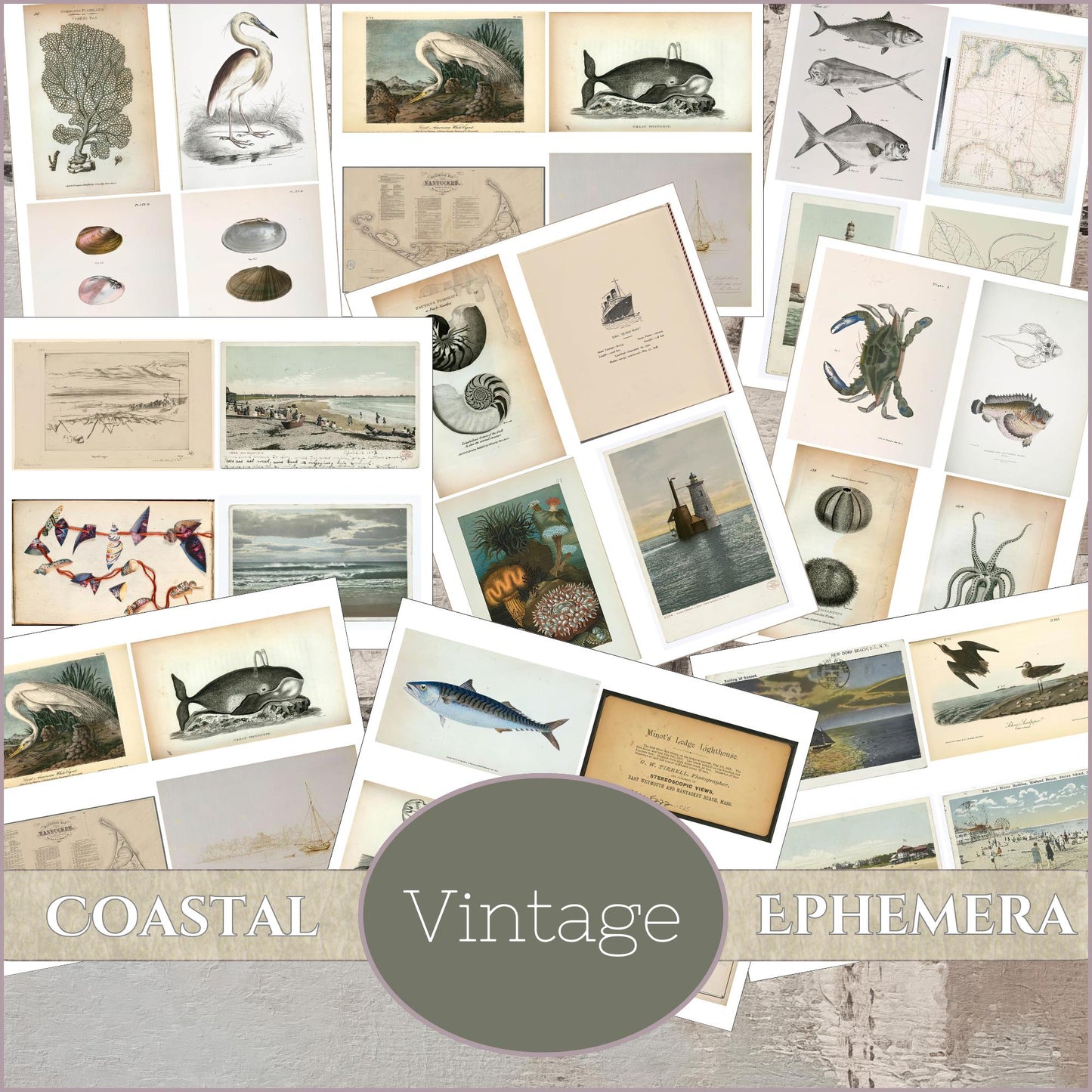 Ocean Vintage Coastal Beach Ephemera