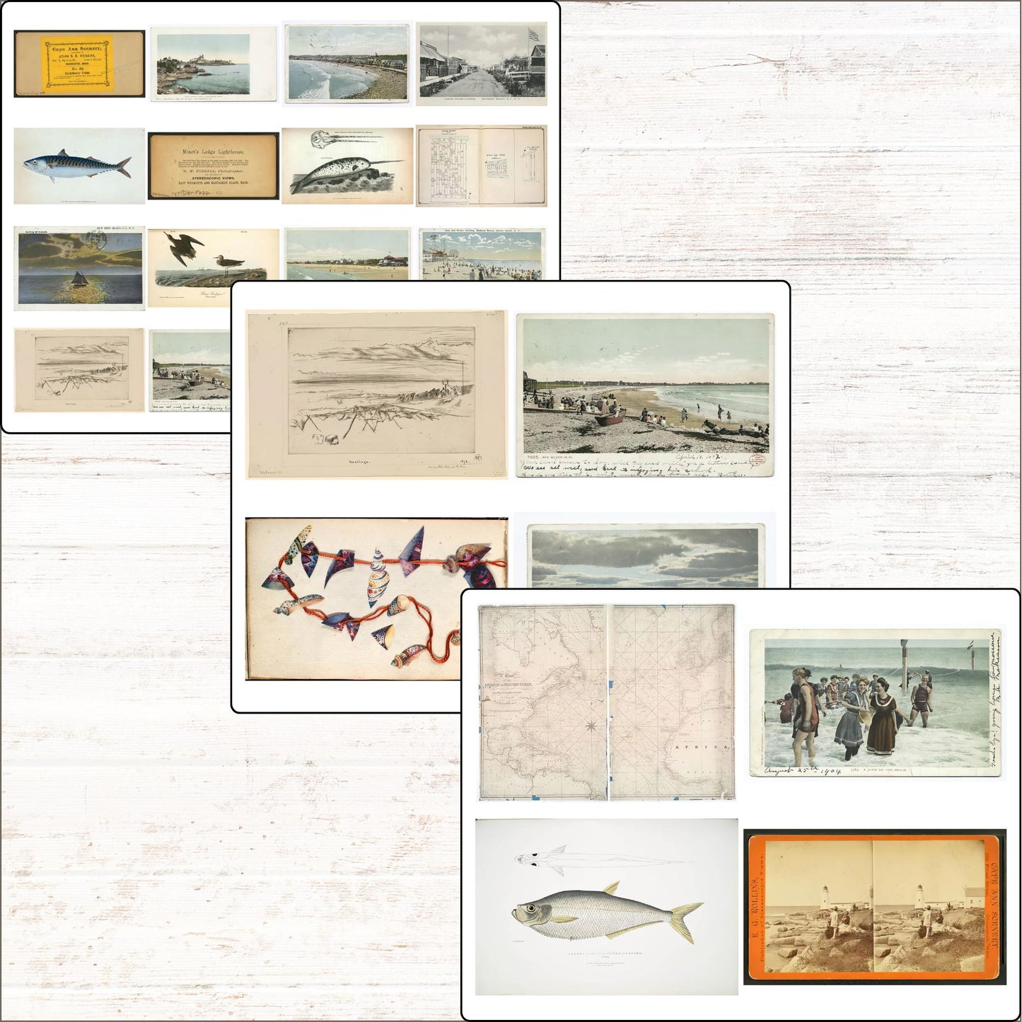 Ocean Vintage Coastal Beach Ephemera