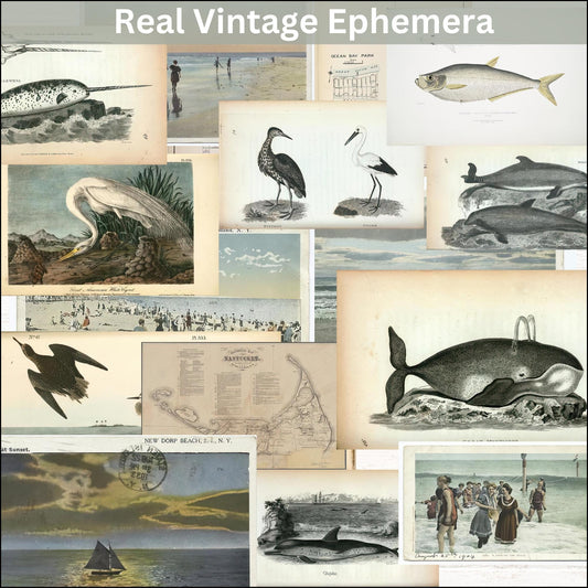 Ocean Vintage Coastal Beach Ephemera