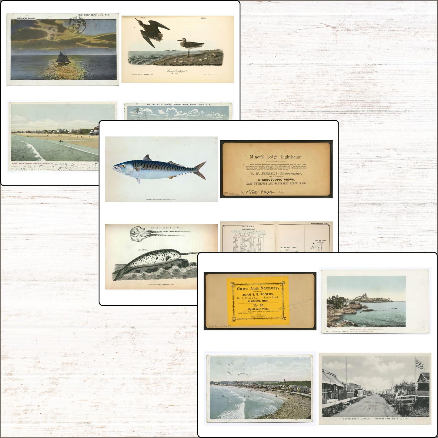 Ocean Vintage Coastal Beach Ephemera