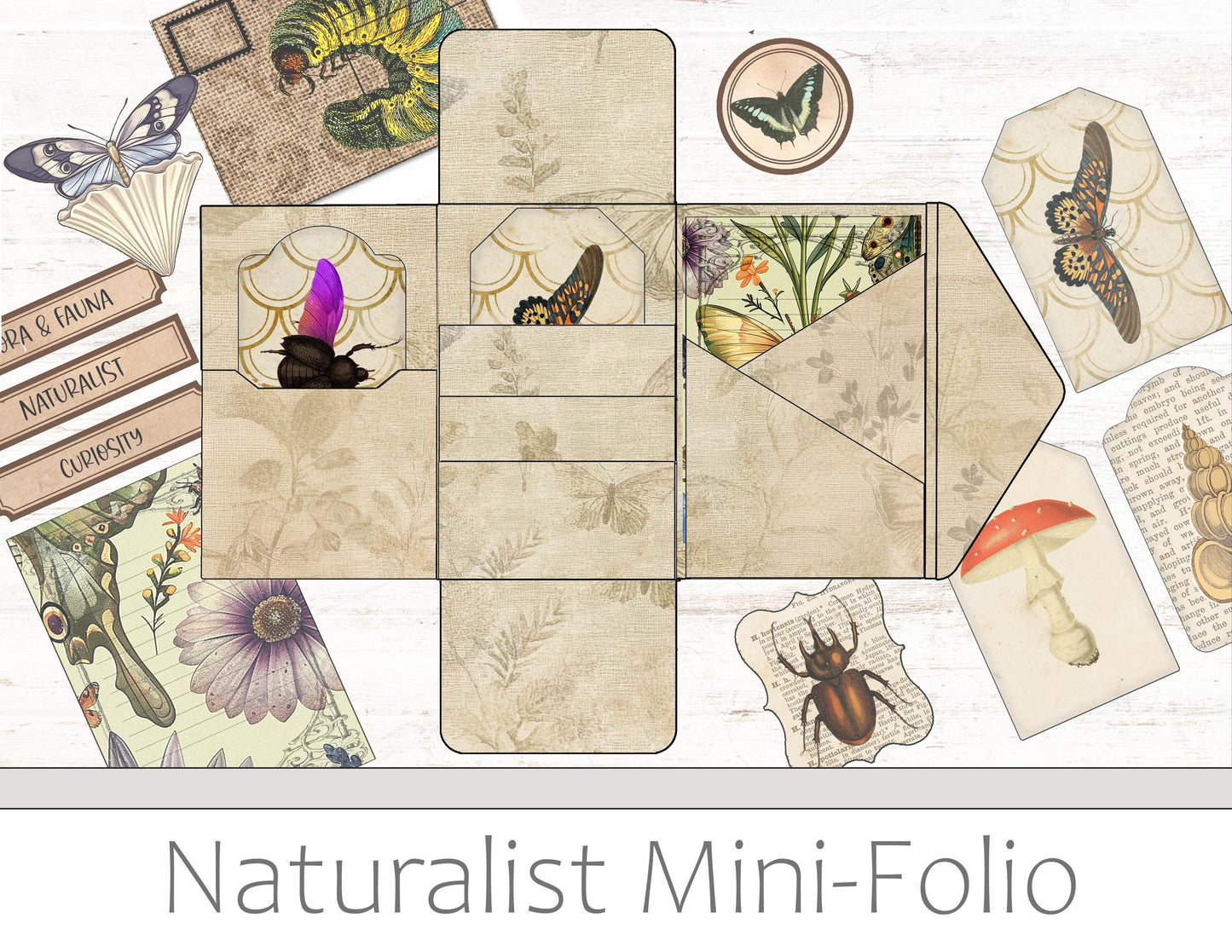 Vintage Naturalist Mini Folio Kit